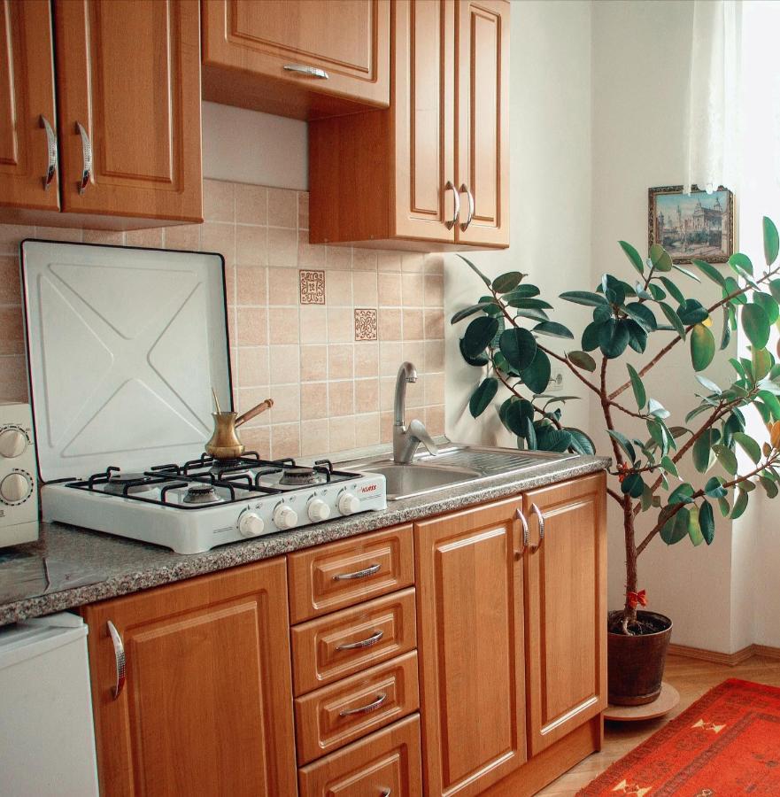 The Heart Of Lviv Apartment Екстериор снимка