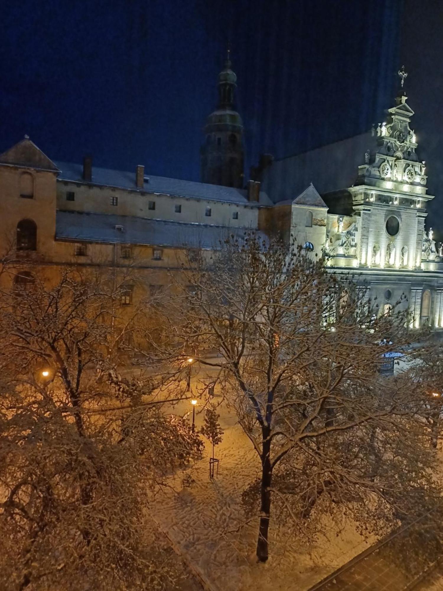 The Heart Of Lviv Apartment Екстериор снимка